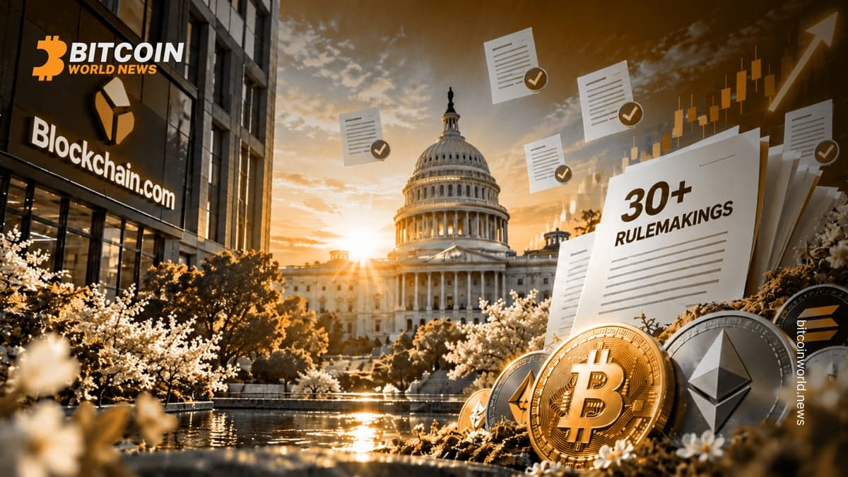 Blockchain.com CEO: 'Crypto Spring' Here amid 30+ Rulemakings
