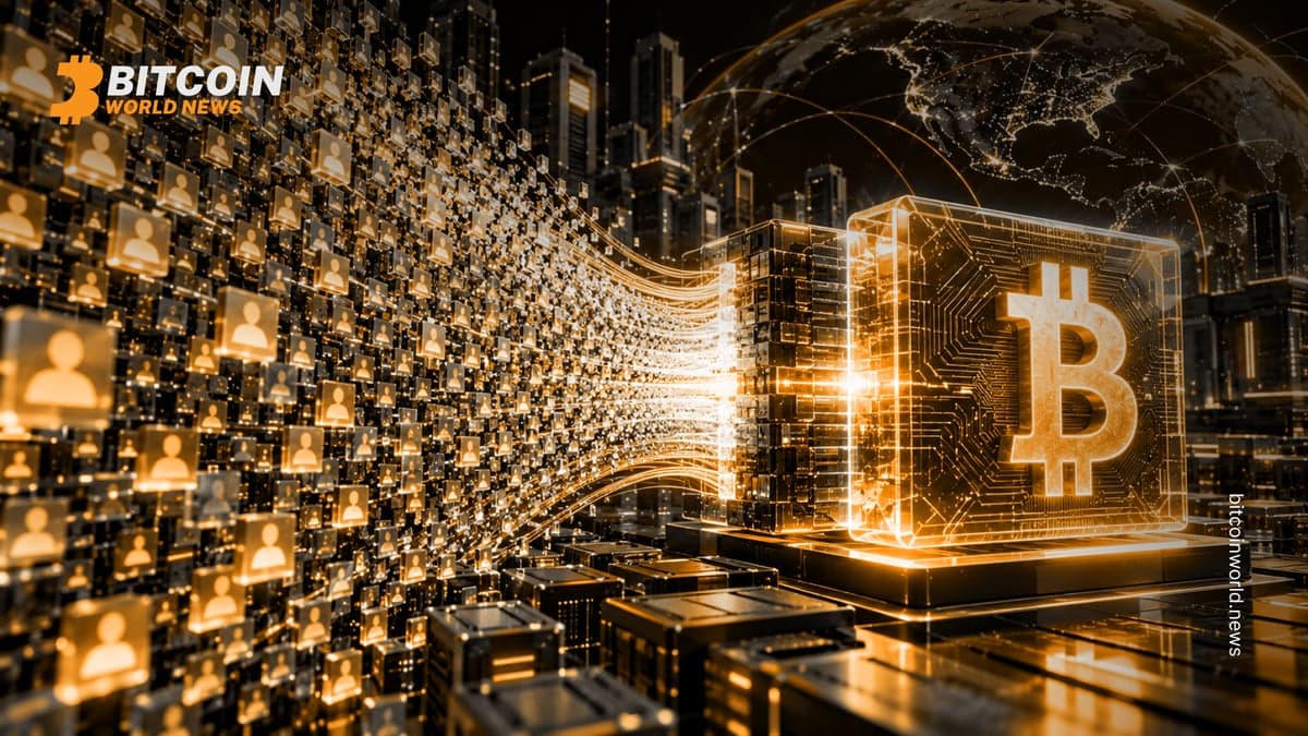 Bitcoin Scaling Plan Fits Millions Into 1 Output